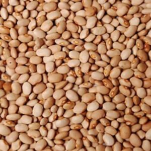 Nigerian honey beans (Pinto Beans)